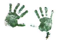 Hands