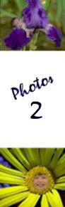 Photos, Page 2 of 4