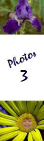 Photos, Page 3 of 4