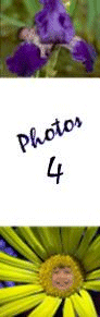 This is the last page of photos.